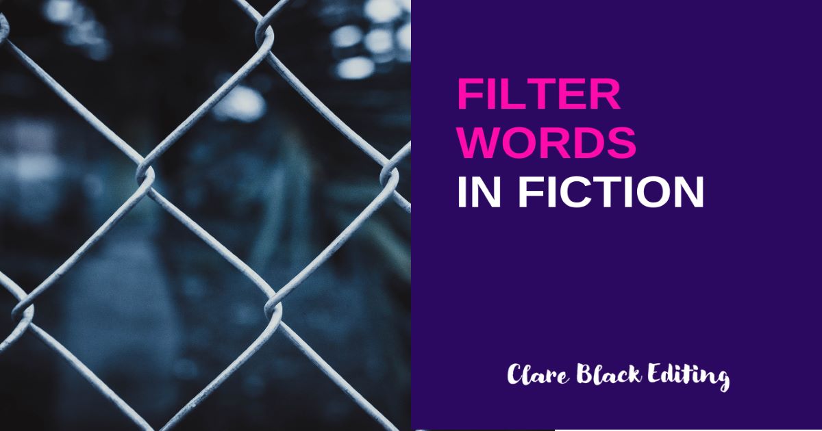Filter words in fiction Clare Black Fiction Book Editor and